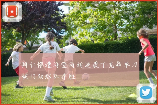 拜仁惨遭海登海姆逆袭丁克希单刀破门助球队夺胜
