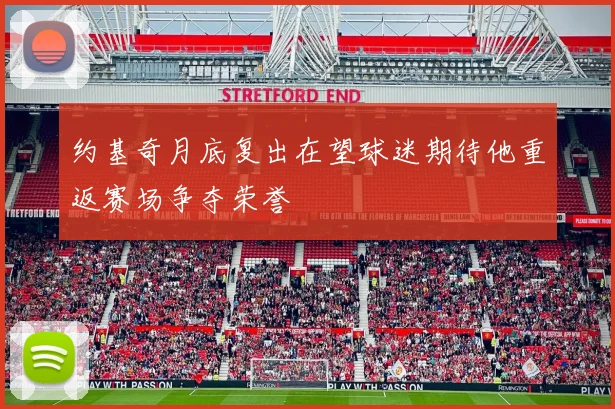 约基奇月底复出在望球迷期待他重返赛场争夺荣誉